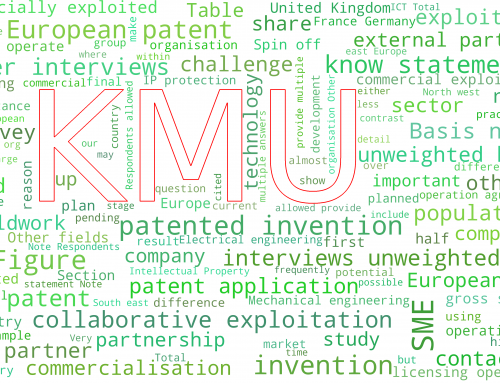European Patent Office publishes study on the commercial use of patents by SMEs